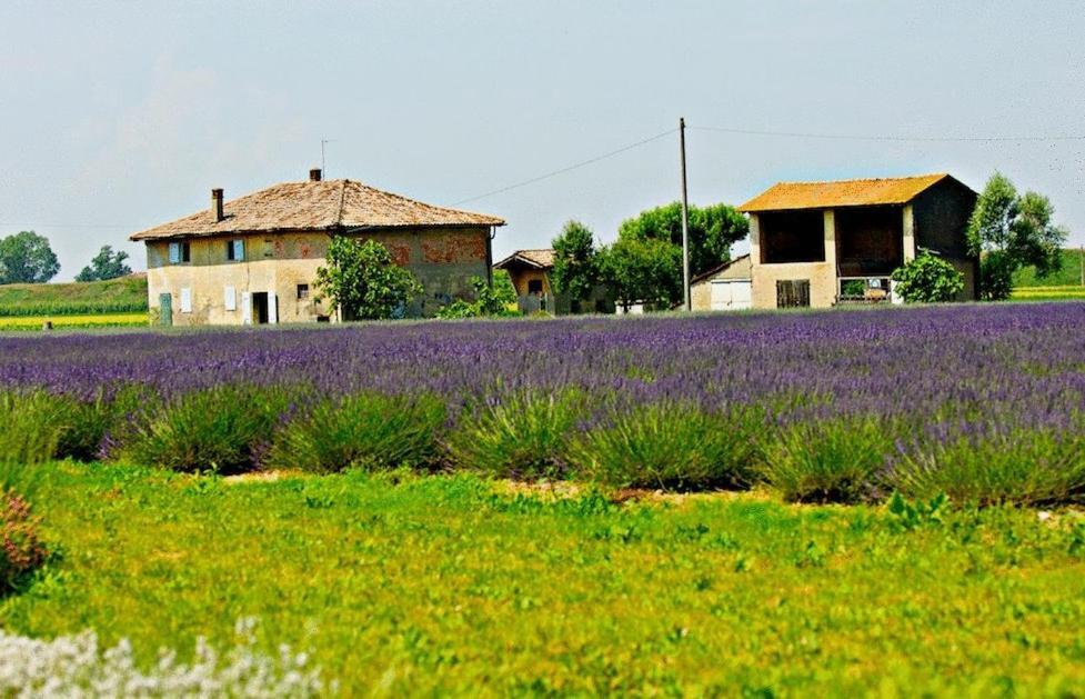 Il Murello Fiorentina Kültér fotó